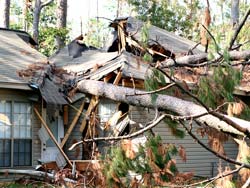 Wind Restoration Oregon City OR